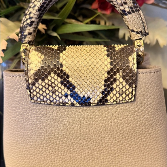 Louis Vuitton Capucines Mini Python - Picture 6 of 14